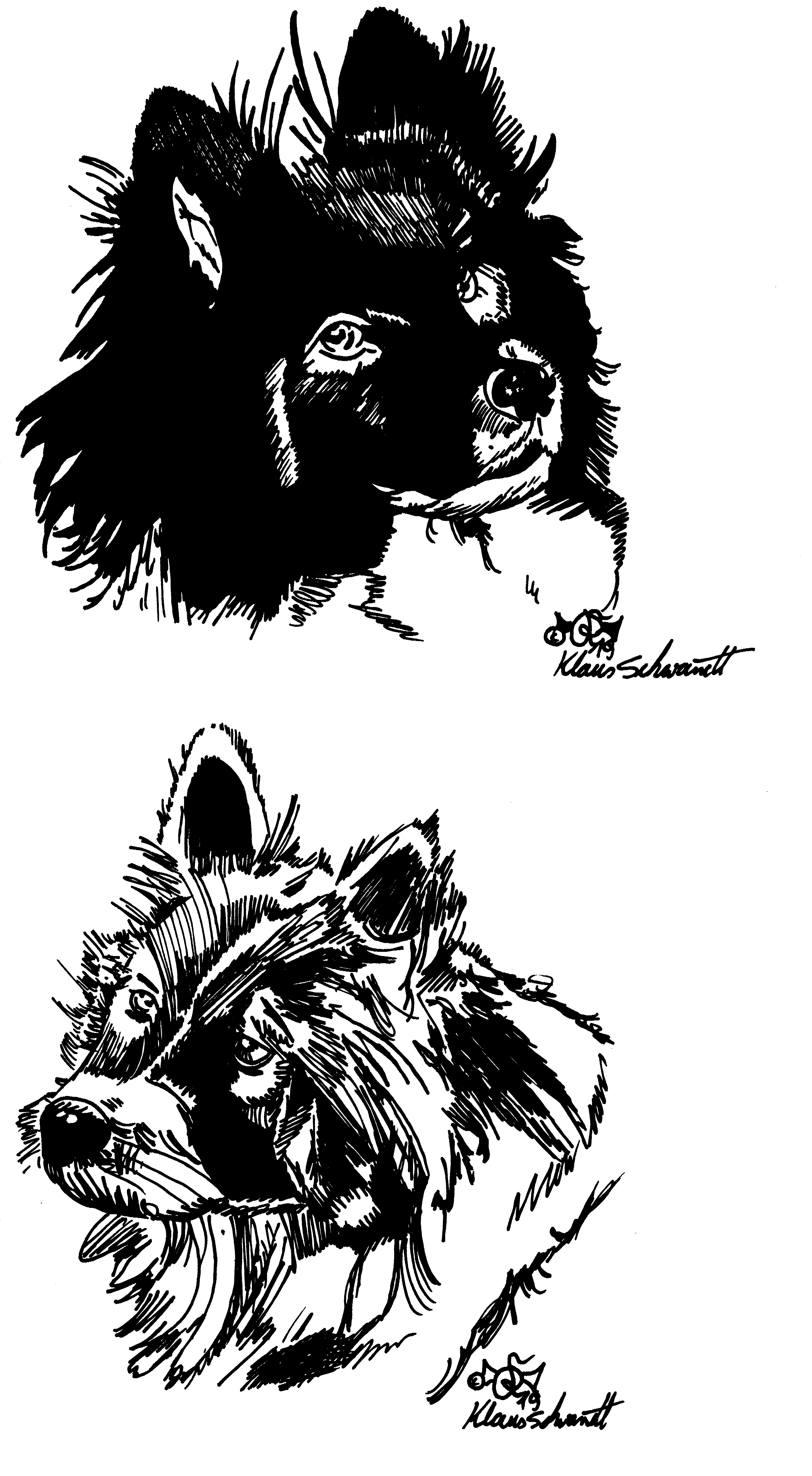 Hunde_Kpfe_1_sw
