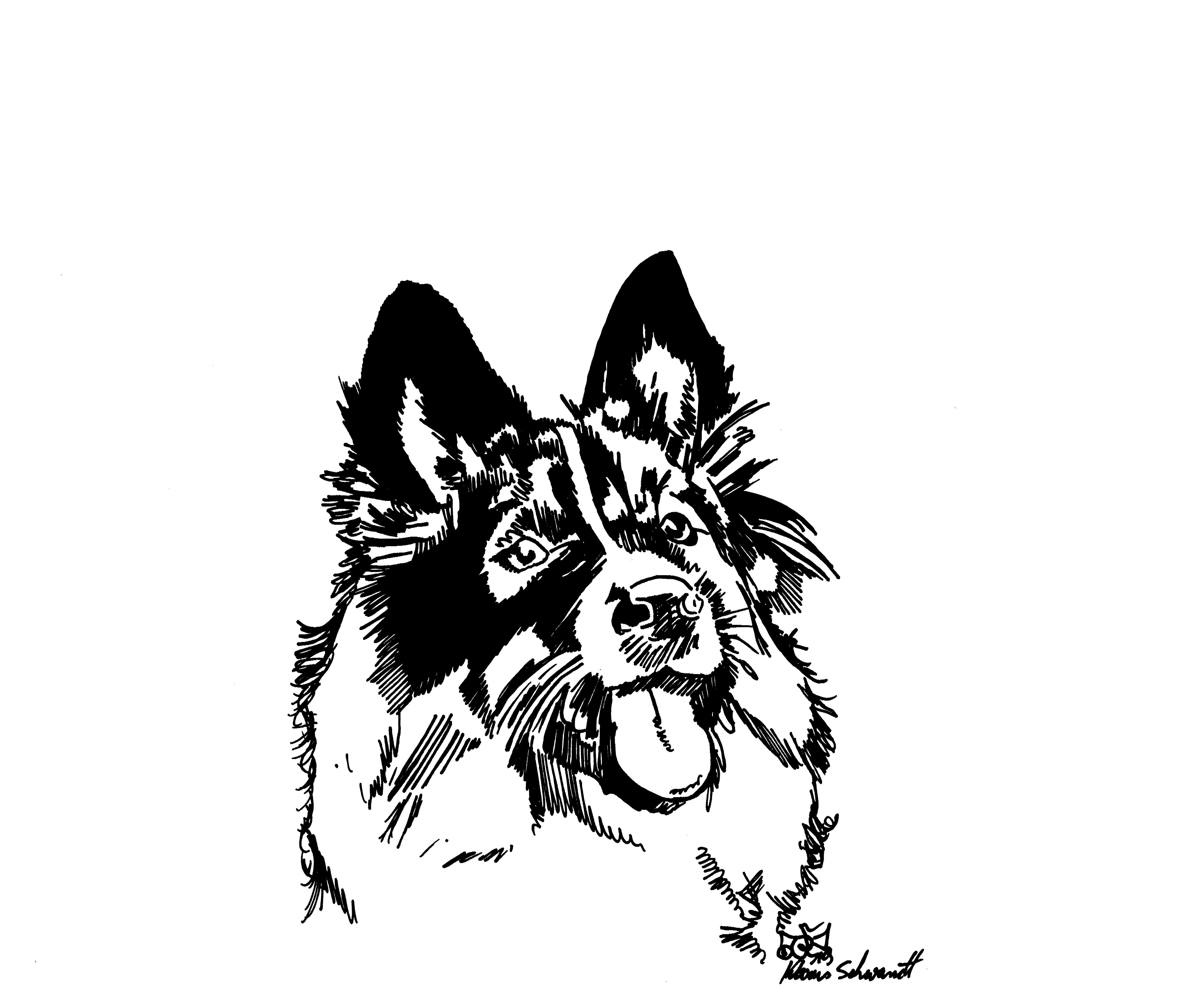 Hunde_Kpfe_3_sw